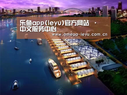 案例展示八