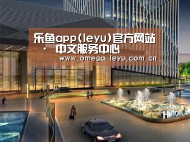案例展示二