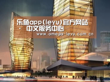案例展示三