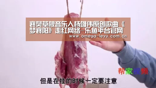 襄樊草根音乐人杨雄伟原创歌曲《梦襄阳》走红网络-乐鱼平台官网(图1) 乐鱼网址