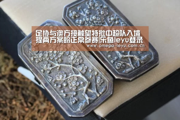 足协与澳方接触望特批中超队入境 提两方案盼正常参赛|乐鱼leyu登录入口(图3) 乐鱼官网