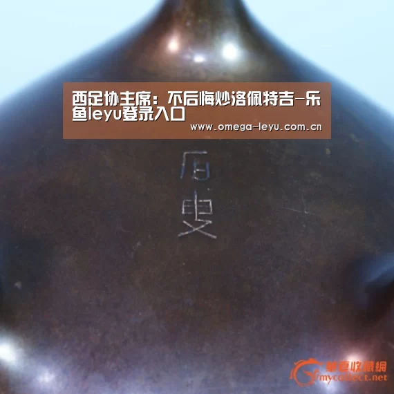 西足协主席:不后悔炒洛佩特吉-乐鱼leyu登录入口(图2) 乐鱼leyu登录入口